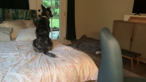 Kailee Smile online show from February 7, 2026, 4:16 am