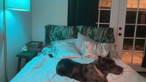 Kailee Smile online show from February 10, 2026, 5:00 am