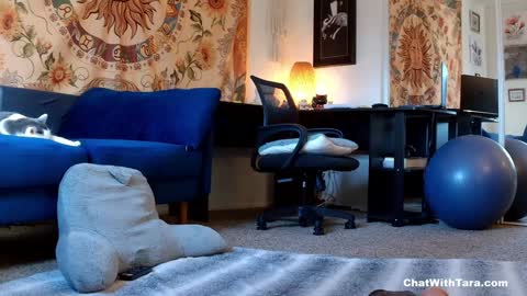 Snapshot of kalikushdreamz chatting on January 14, 2025, 10:02 pm Tara Smith online show from January 14, 2025, 10:02 pm