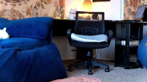 Snapshot of kalikushdreamz chatting on January 30, 2025, 6:54 pm Tara Smith online show from January 30, 2025, 6:54 pm