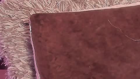 Snapshot of kalimonroee chatting on December 29, 2024, 5:22 pm KaliMonroe online show from December 29, 2024, 5:22 pm