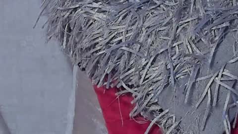 Snapshot of kalimonroee chatting on January 16, 2025, 2:41 pm KaliMonroe online show from January 16, 2025, 2:41 pm