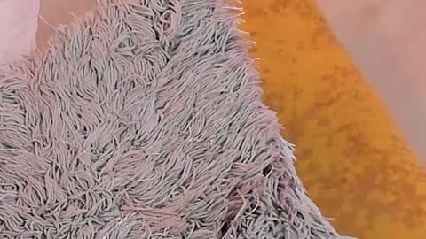 Snapshot of kalimonroee chatting on January 26, 2025, 5:13 pm KaliMonroe online show from January 26, 2025, 5:13 pm