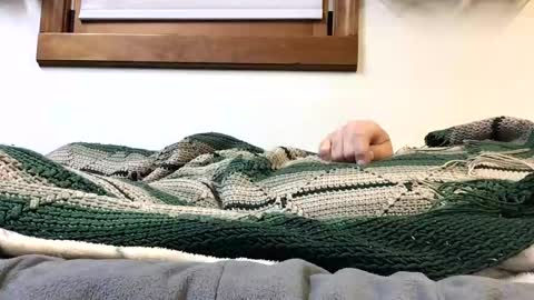 kansas_mastutbater online show from October 24, 2025, 2:30 am