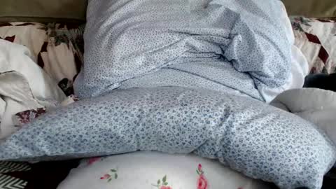 kaonashi69 online show from January 19, 2025, 6:21 pm