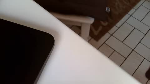 Snapshot of karlodi chatting on February 9, 2025, 11:47 am Kev online show from February 9, 2025, 11:47 am