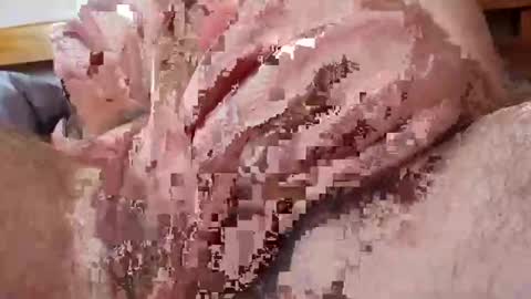 Snapshot of karlodi chatting on September 15, 2025, 7:25 pm Kev online show from September 15, 2025, 7:25 pm