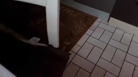 Snapshot of karlodi chatting on October 31, 2025, 7:42 am Kev online show from October 31, 2025, 7:42 am