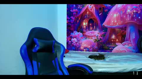    online show from October 23, 2025, 10:03 am