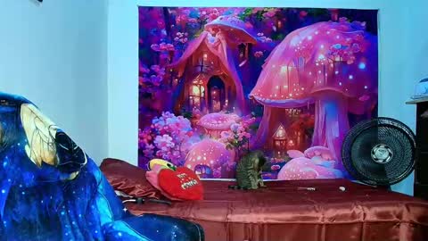    online show from November 10, 2025, 10:14 am