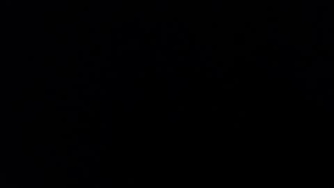 Snapshot of karolay_su chatting on January 31, 2025, 8:11 am ARIANNA online show from January 31, 2025, 8:11 am