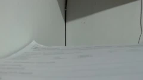 Tamires e Maicon online show from November 16, 2025, 3:34 am