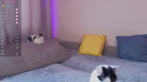 Katerina online show from January 30, 2025, 5:52 am