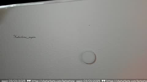 Snapshot of katestone_again chatting on January 3, 2025, 2:51 pm love meeee online show from January 3, 2025, 2:51 pm
