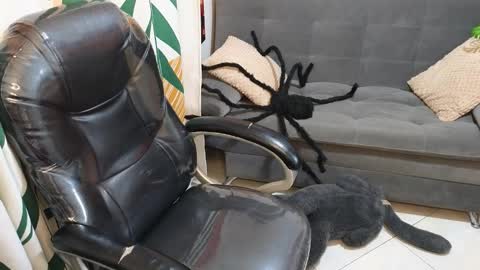 kathie_lozada online show from October 28, 2025, 6:17 am