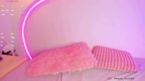 Katy  IGPeach kat666 online show from December 30, 2024, 3:57 pm