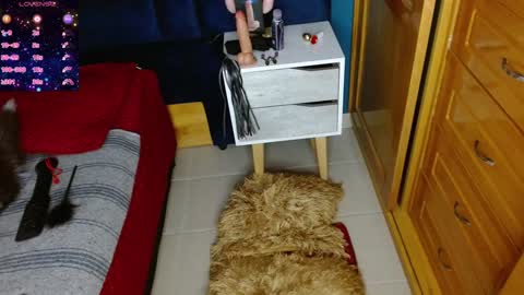 Arianna online show from December 2, 2024, 7:38 pm