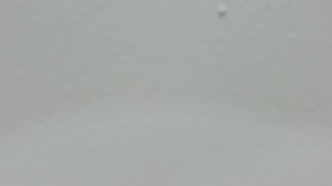 katy blonde girl and paola big boobs online show from December 24, 2024, 5:02 pm