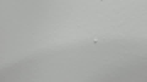 katy blonde girl and paola big boobs online show from February 12, 2025, 1:52 am