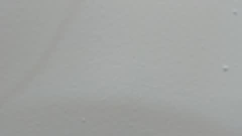 katy blonde girl and paola big boobs online show from February 14, 2025, 7:44 pm