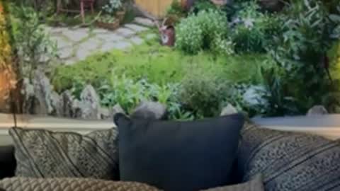 katy_chris online show from June 4, 2026, 6:19 am