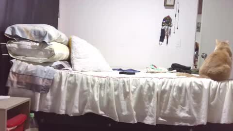  Khawit  online show from October 29, 2025, 12:07 pm