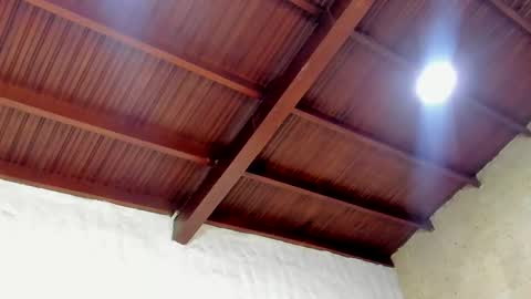 Kaylee sweet online show from October 21, 2025, 7:58 pm