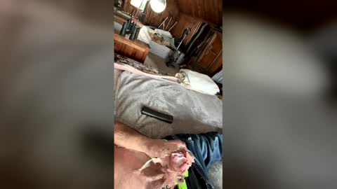 kckc40000 online show from January 14, 2026, 7:19 pm