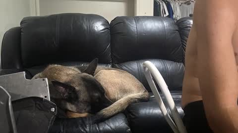 Dexter online show from February 16, 2025, 11:05 am