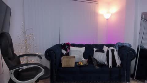 Kendall Jenner online show from February 7, 2025, 10:29 am