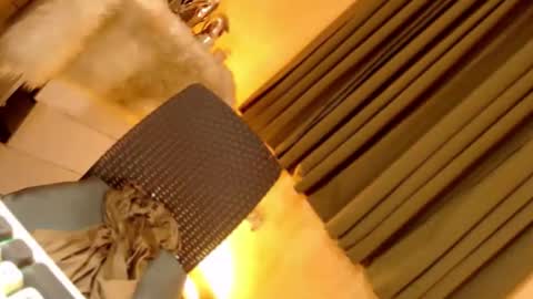 Ebony online show from September 23, 2025, 6:33 pm