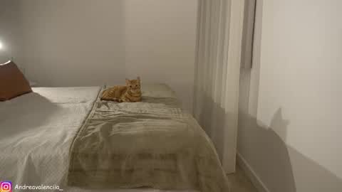 Andrea online show from March 10, 2025, 8:23 pm