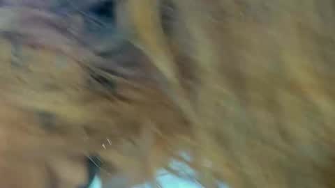 Kendal  online show from November 27, 2025, 9:28 pm