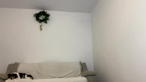 Kenna next time online - 2nd of Dec online show from January 15, 2025, 12:04 pm