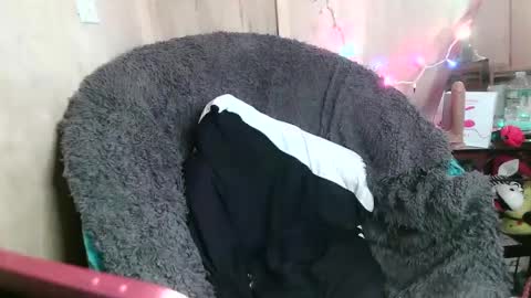 Snapshot of kennedynova777 chatting on January 26, 2025, 10:24 pm Kennedy Nova online show from January 26, 2025, 10:24 pm