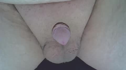 maggot online show from November 21, 2025, 12:21 am