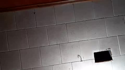 Snapshot of kfrost380 chatting on October 26, 2025, 9:31 pm kfrost380 online show from October 26, 2025, 9:31 pm