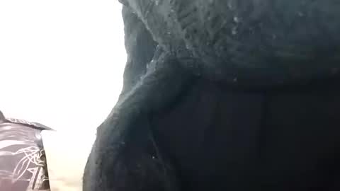 Snapshot of khushisinghh chatting on December 14, 2024, 2:34 am khushisinghh online show from December 14, 2024, 2:34 am