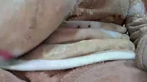 Snapshot of khushisinghh chatting on January 22, 2025, 4:02 pm khushisinghh online show from January 22, 2025, 4:02 pm