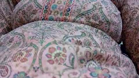 Snapshot of khushisinghh chatting on January 24, 2025, 12:31 pm khushisinghh online show from January 24, 2025, 12:31 pm