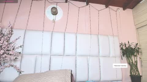    N         M online show from February 10, 2025, 11:36 am