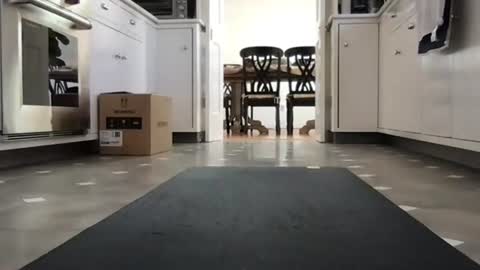 Kicknbutt online show from February 26, 2026, 8:52 pm