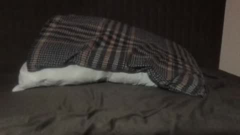 Snapshot of kiki3526 chatting on March 12, 2026, 8:48 pm kiki3526 online show from March 12, 2026, 8:48 pm