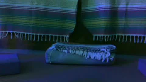 Kim online show from October 13, 2025, 12:49 pm