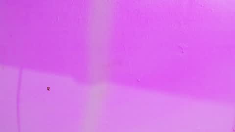 Your Queen KIM online show from December 7, 2024, 9:00 pm