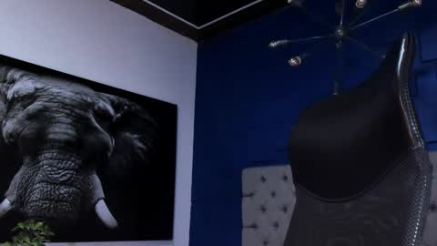 Angel Falconer online show from February 1, 2026, 1:59 am