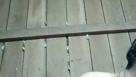 Ruru online show from January 16, 2026, 4:00 pm