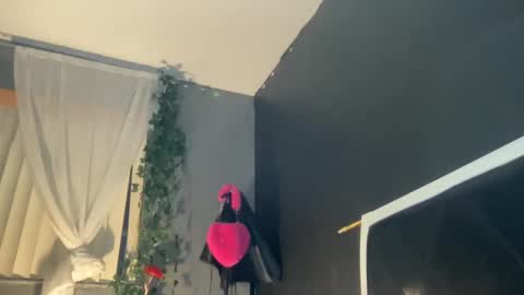 Bunniii online show from January 2, 2025, 11:41 am