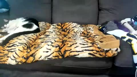 Kinky online show from February 4, 2025, 6:17 pm