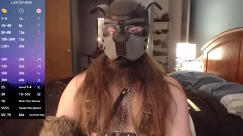 kinkywolf87 online show from December 2, 2024, 5:04 pm